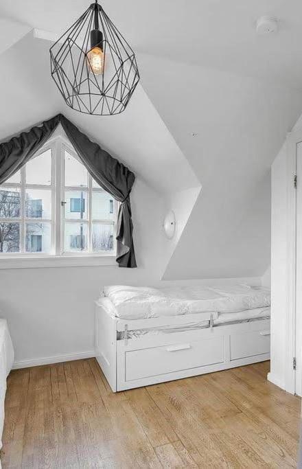 Icelandic Art Garden Villa W. Parking In Centre City 레이캬비크 외부 사진