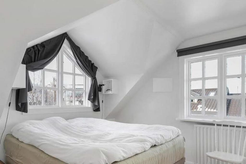 Icelandic Art Garden Villa W. Parking In Centre City 레이캬비크 외부 사진