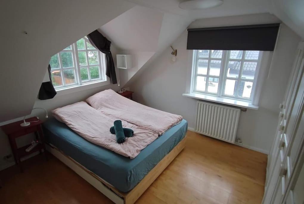 Icelandic Art Garden Villa W. Parking In Centre City 레이캬비크 외부 사진